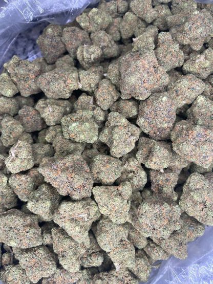 Elmer’s Glue Wiet