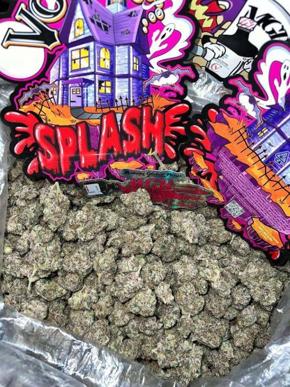 Splash Wiet